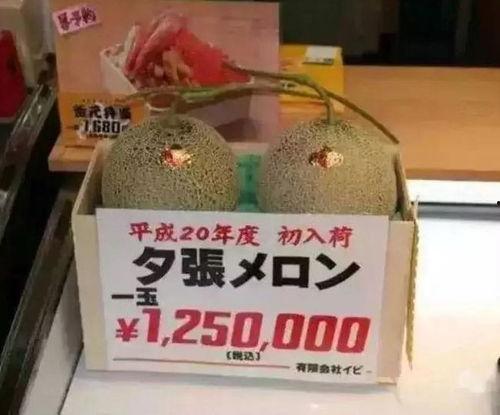 娱乐市场有瓜吃吗