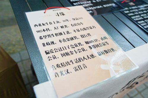 相亲准备资料,打造完美个人资料，助力爱情速成