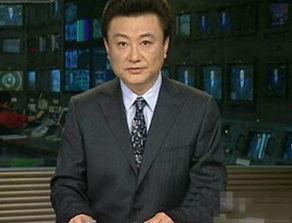 央视主播王宁个人资料,央视主播的才华与魅力